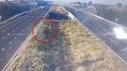 Delhi-Mumbai expressway road accident: Five killed as car falls into pit in MP