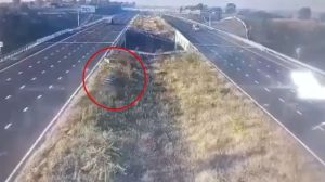 Delhi-Mumbai expressway road accident: Five killed as car falls into pit in MP