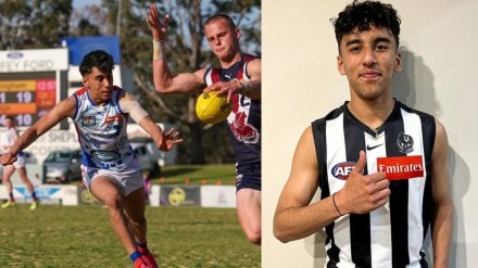 Who is Jai Saxena? Indian-origin player set to play AFL after joining Collingwood FC