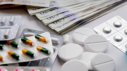 The domestic business experienced growth across all key therapy areas, bolstered by new initiatives. The company is expanding its domestic portfolio and strengthening its team. The domestic business experienced growth across all key therapy areas, bolstered by new initiatives. The company is expanding its domestic portfolio and strengthening its team.