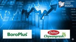 BoroPlus vs. Chyawanprash: A showdown between two ‘all-weather’ dividend kings