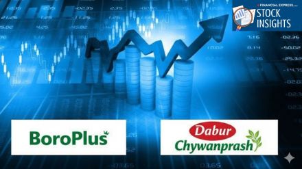 BoroPlus vs. Chyawanprash: A showdown between two ‘all-weather’ dividend kings