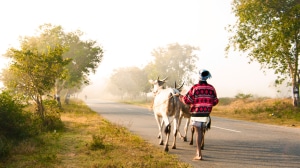 ADB has approved a $400 million loan in a results-based lending program to improve road connectivity in Maharashtra.