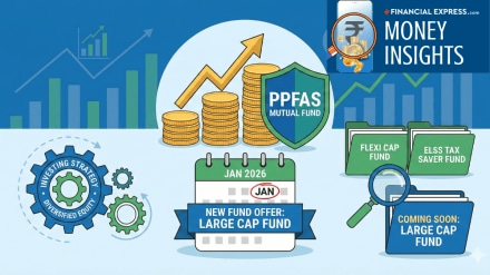 Parag Parikh Large Cap Fund is the new fund offer from PPFAS Mutual Fund.