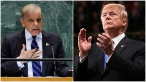 US Pakistan deal - critical minerals