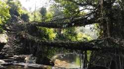 Walking with the Khasis: The Community Trails of Meghalaya