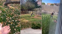 ‘Looks beautiful but look at this…’: Indian woman in US hilariously reveals reality of big-house maintenance
