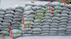 8 ‘Buy’ recommendations by Jefferies in the cement sector with up to 56% upside