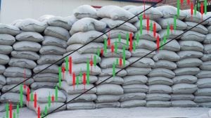 JK Cement posted a 16.97 per cent profit growth in the second quarter