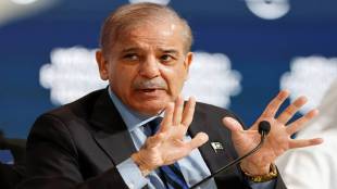 Pakistan Shehbaz Sharif hails US panel report