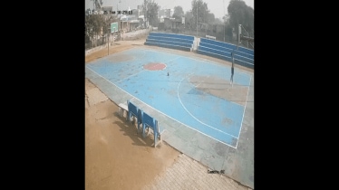 16-year-old national level player dies after basketball pole falls on him during practice; Haryana govt leads review (X video screengrab)