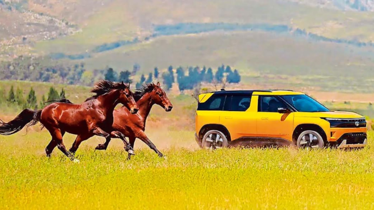 Tata Sierra 2025 to launch tomorrow: Check expected India price, specifications, features and more