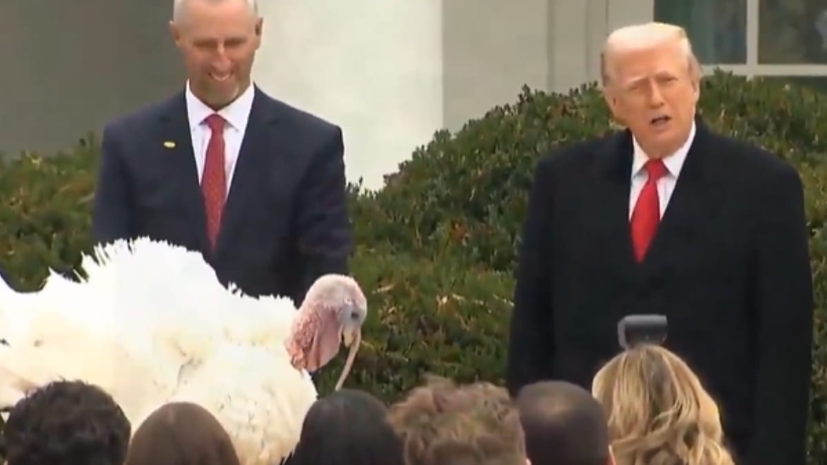 US Presidential Turkey Pardon: All about Thanksgiving tradition and its unlikely origin