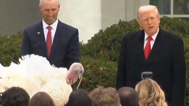 US Presidential Turkey Pardon: All about annual Thanksgiving tradition and its unlikely origin