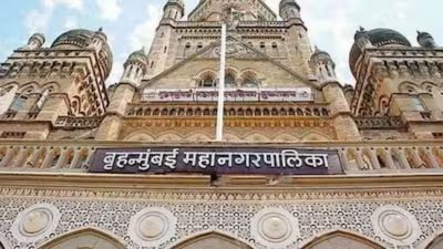 Maharashtra local body polls for 246 municipal councils, 43 nagar panchayats on Dec 2
