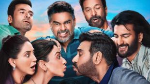 De De Pyaar De 2 box office collection day 8