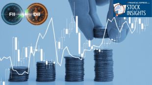 fii dii investment