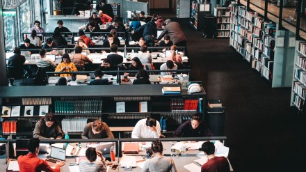 US college-educated job losses hit record high US college-educated job losses hit record high