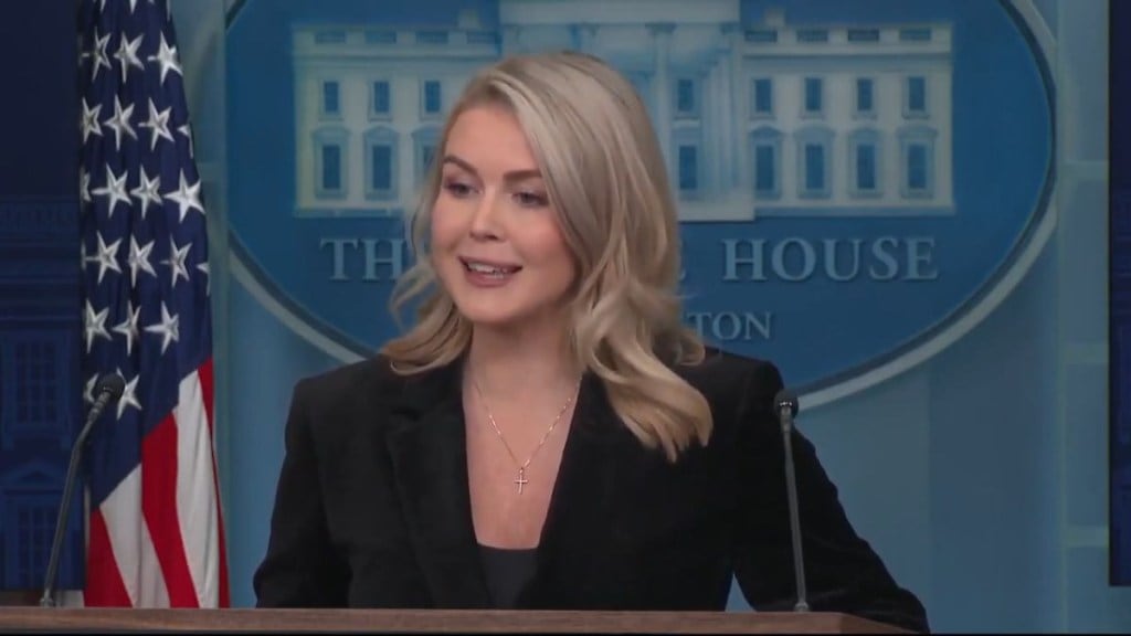 Karoline Leavitt on Mamdani meet