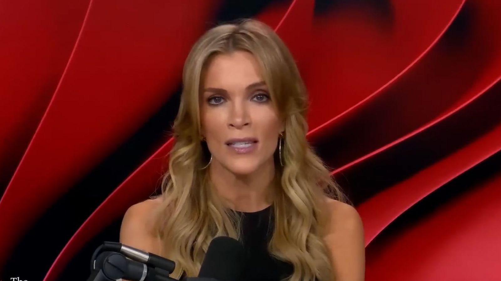 Megyn Kelly Faces Backlash for Questioning Epstein's Pedophilia