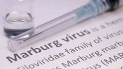 What is Marburg virus? Ethiopia reports outbreak, at least 9 infected with ‘Ebola cousin’