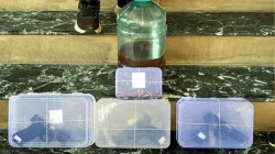 Ricin terror plot explained: How Gujarat ATS foiled bio-terror attack; arrested doctor with MBBS degree from China