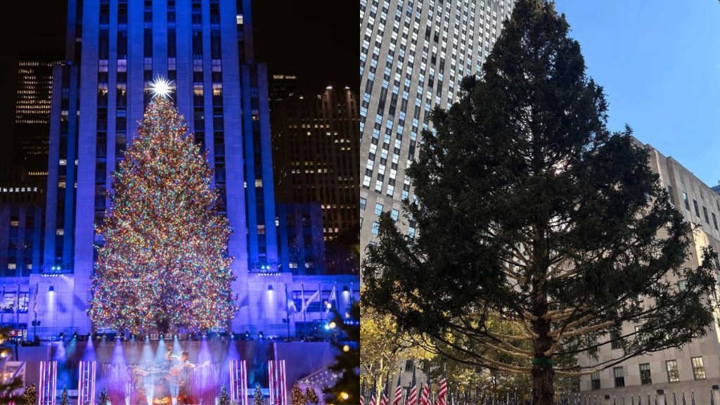rockefeller centre christmas tree