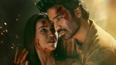 Tere Ishk Mein cast salary