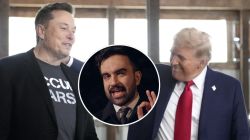 ‘No choice, must vote for Cuomo’: Trump reiterates anti-Mamdani endorsement; Musk attacks ‘Mumdumi’