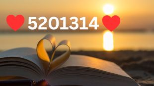 Meaning of 5201314