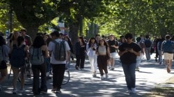 International student arrivals to Canada plunge 60% this year