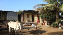 Three-fourths of rural households expect rise in income next year: Nabard survey