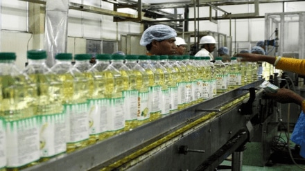 Govt rolls out schemes under edible oils mission 