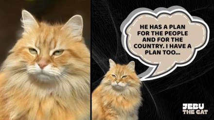 The much adored figure in Bangladesh named Jebu is actually a Siberian cat that belongs to Zaima Rahman, the daughter of Tarique Rahman, and has now acquired the status of being the official pet of the Rahman family.
The much adored figure in Bangladesh named Jebu is actually a Siberian cat that belongs to Zaima Rahman, the daughter of Tarique Rahman, and has now acquired the status of being the official pet of the Rahman family.