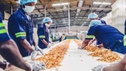 Food processing PLI may be extended
