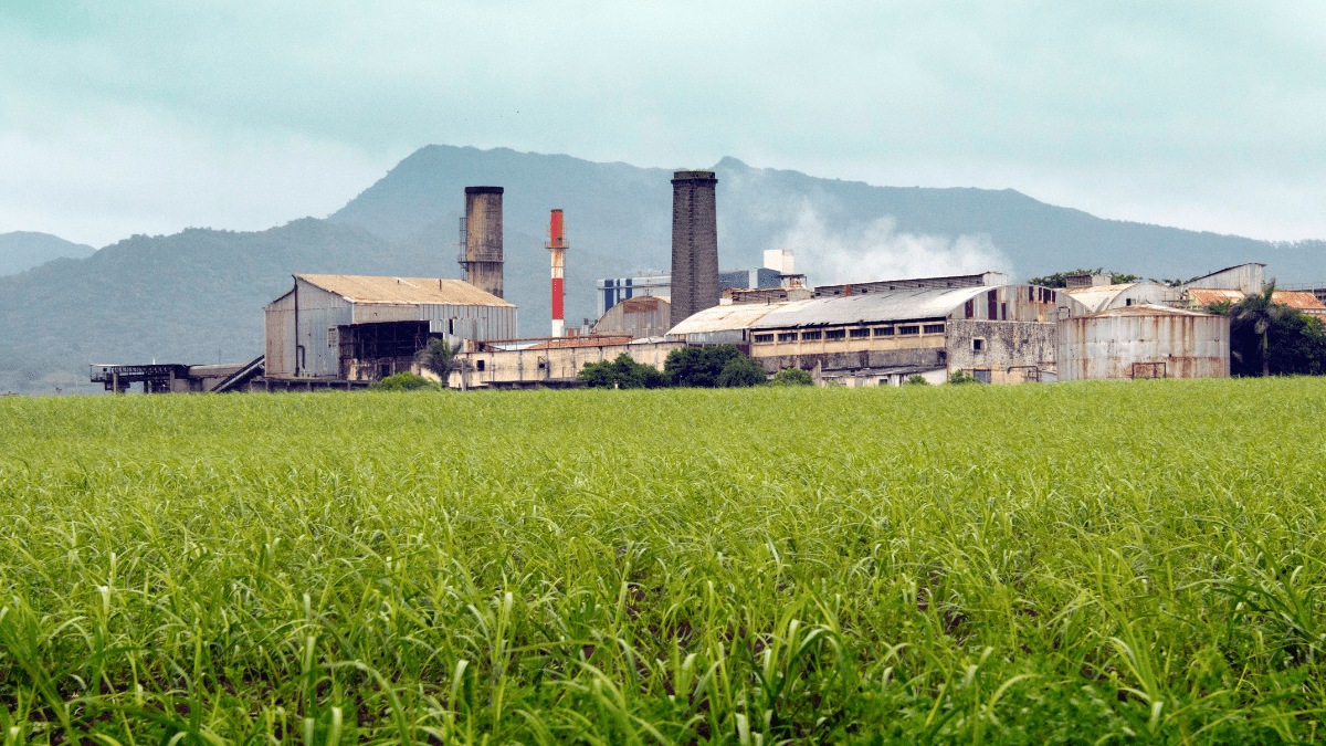 India's sugar production rose 43 per cent to 4.11 million tonnes in the first two months of the 2025-26 India's sugar production rose 43 per cent to 4.11 million tonnes in the first two months of the 2025-26