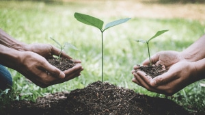 The sustainability challenge is serious; Indian businesses are today forced to respond to a multitude of pressure points