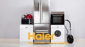 Bharti Enterprise and private equity firm Warburg Pincus have acquired a 49 per cent stake in Haier India