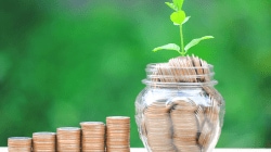 Steel Exchange India to raise Rs 700 crore via preferential issue, QIP or public offer