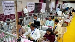 Maharashtra Local Body Election Results 2025 Live: NCP sweeps Baramati; BJP maintains dominance, emerges victorious in Palghar