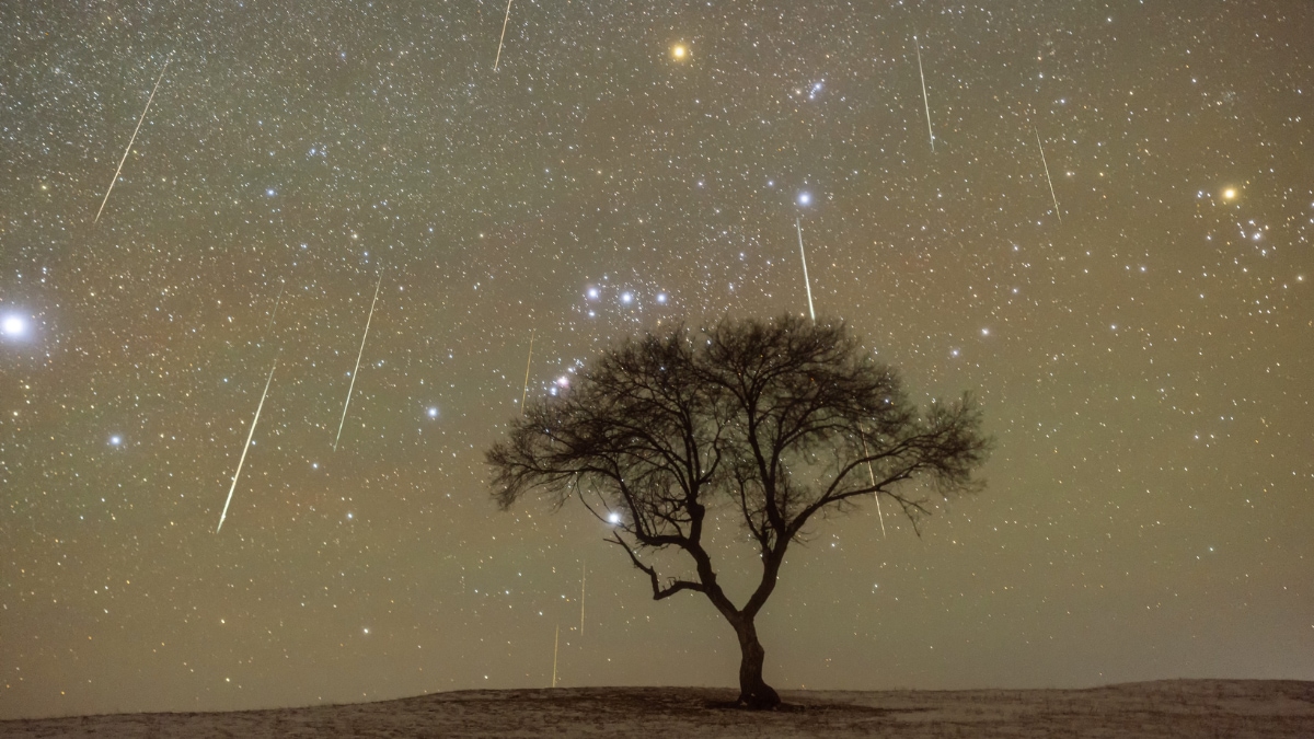 Geminids Meteor Shower 2025: India time, peak hours and livestream details