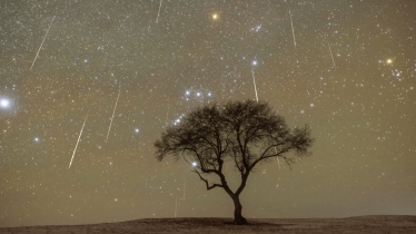 Geminids Meteor Shower 2025: India time, peak hours and livestream details