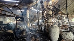 Goa nightclub fire: Luthra Brothers say ‘never intended to evade law’ as Thailand begins deportation process