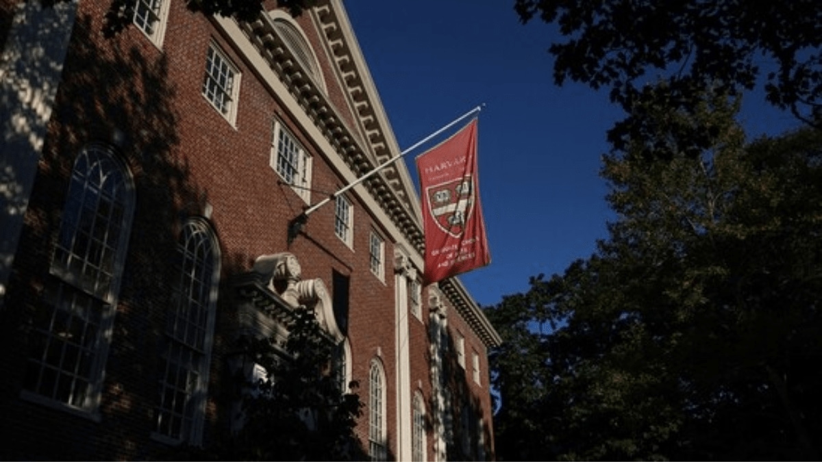 Harvard professor visa revoked Harvard professor visa revoked