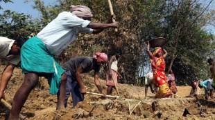 MGNREGA