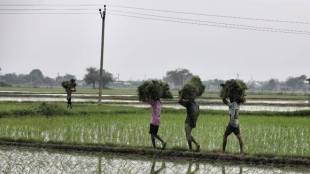 Maharashtra cabinet nod for farm-to-field roads