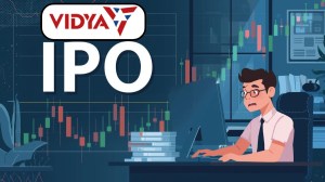 Vidya Wires Rs 300 Crore IPO to Open on December 3: Key details on price, Issue size and timeline (Source: Canva)