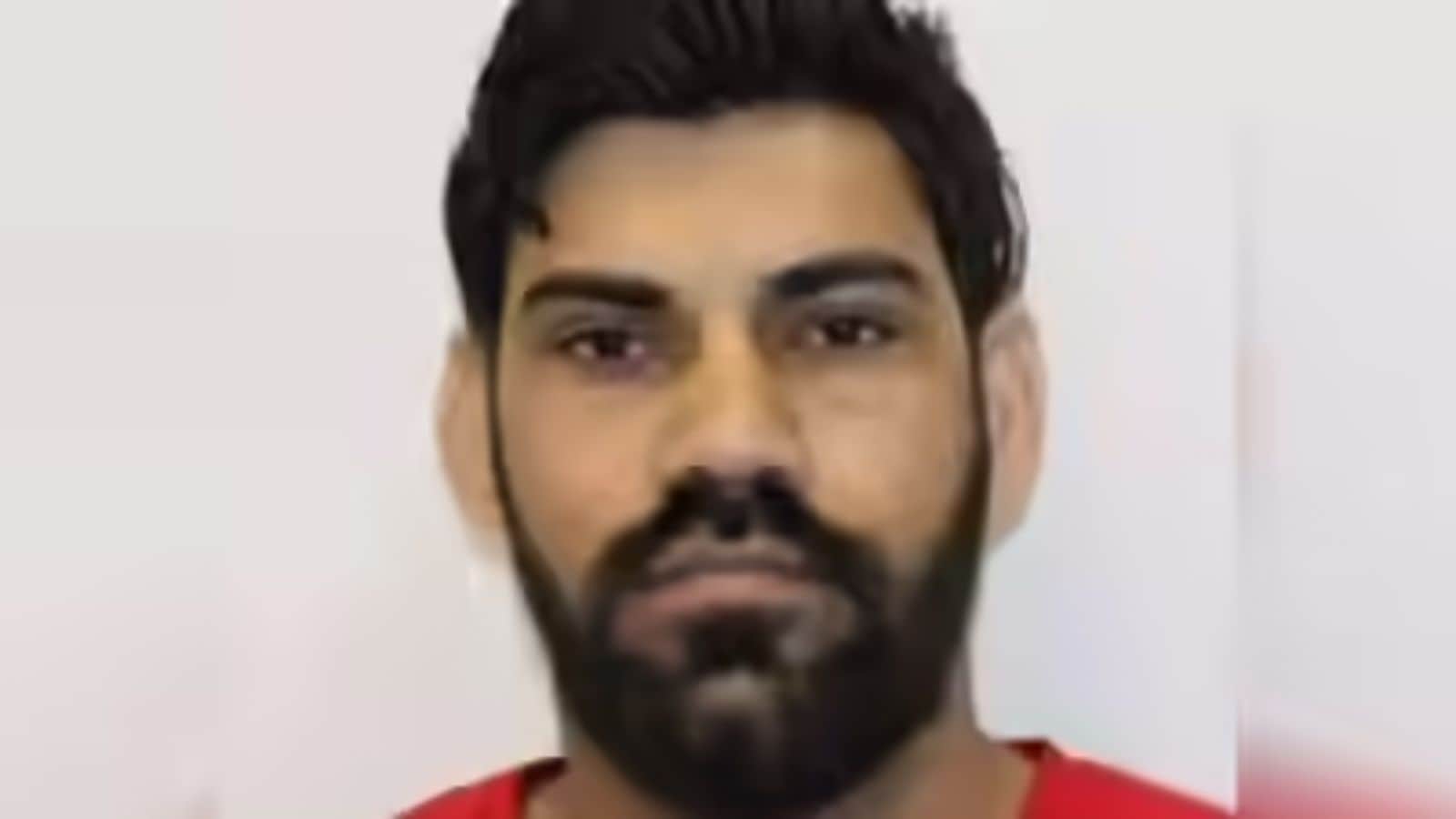 Who is Rajinder Kumar? Indian illegal trucker arrested in US after crash kills newlyweds