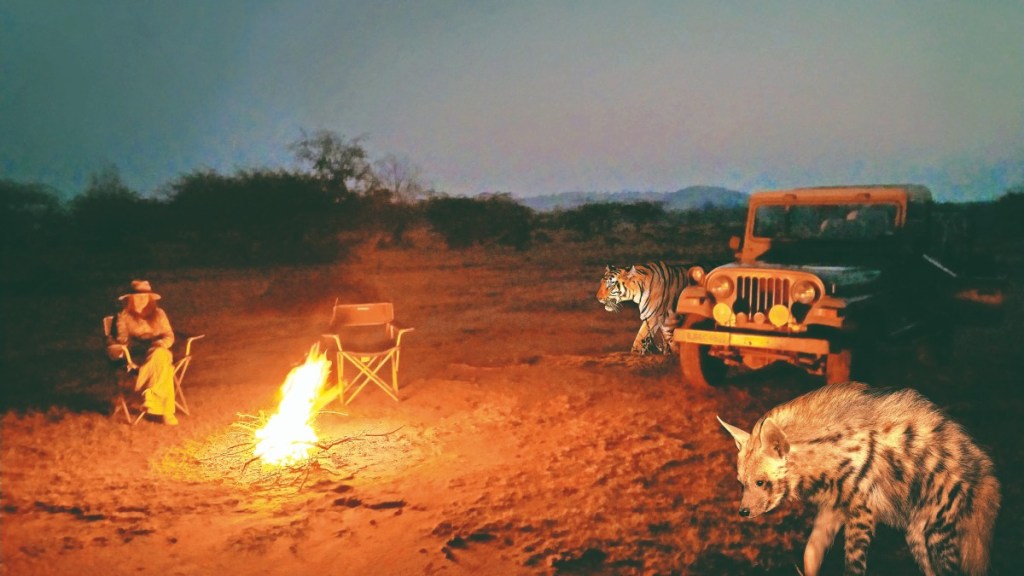 India Bans Night Tourism in Tiger Core Zones