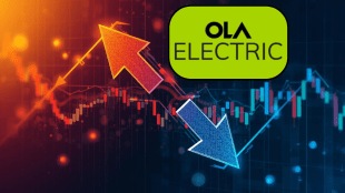 ola bhavish aggarwal, ola electric share price, ola share price